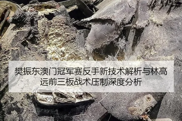 樊振东澳门冠军赛反手新技术解析与林高远前三板战术压制深度分析
